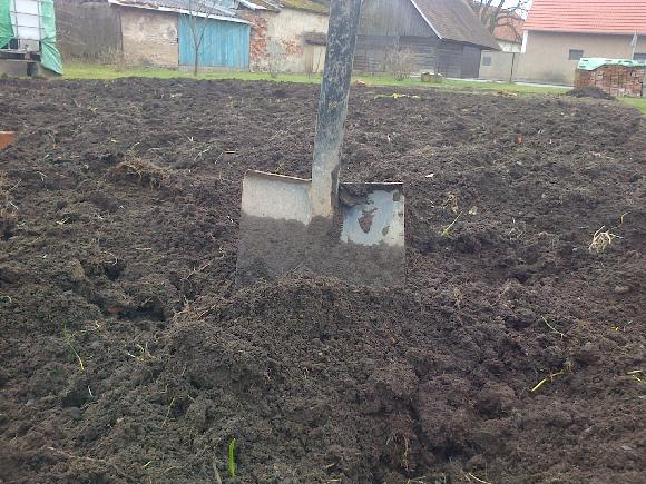 Rýt, nebo nerýt?