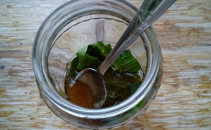 Jitrocelový sirup s medem