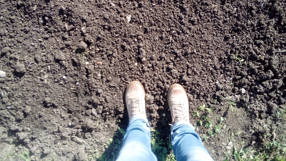 Založte si svůj první zeleninový záhon. Tady je návod krok za krokem