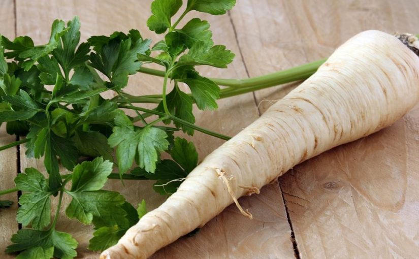 Vypěstujte si petržel. Šťavnatý bílý kořen i zelenou voňavou nať